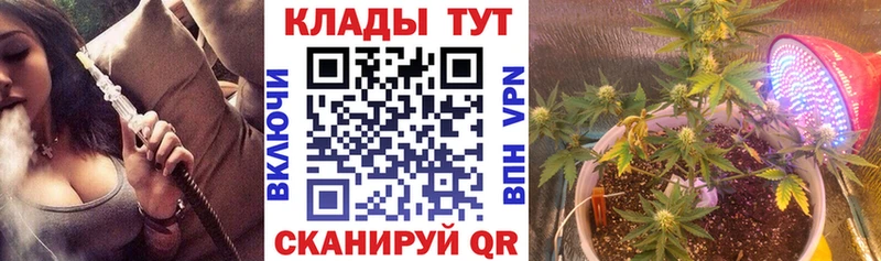Наркотические вещества Елизово КОКАИН  А ПВП  МАРИХУАНА 