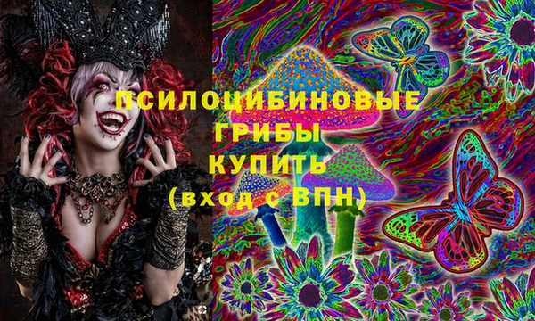 МДПВ Абаза