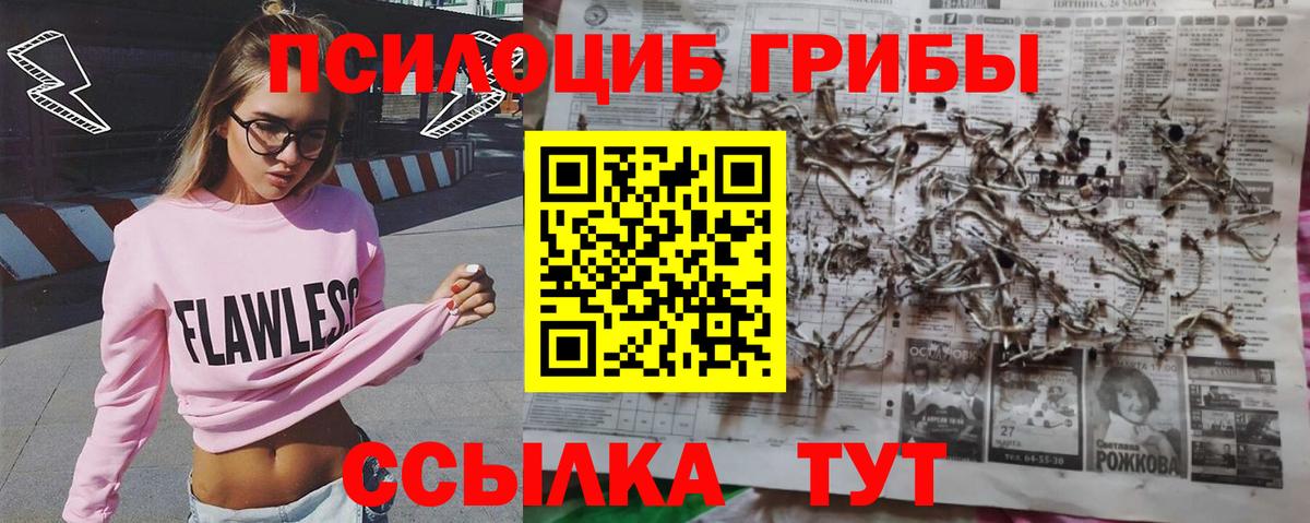 Галлюциногенные грибы Psilocybe Елизово
